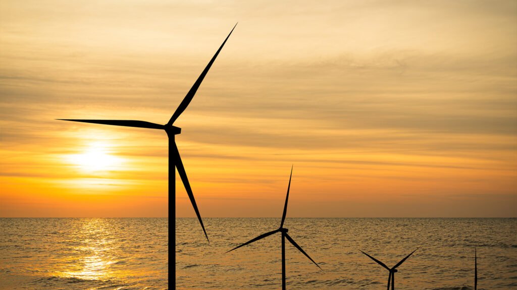 Sustentabilidade empresarial: o que é, como é, e por que adotar