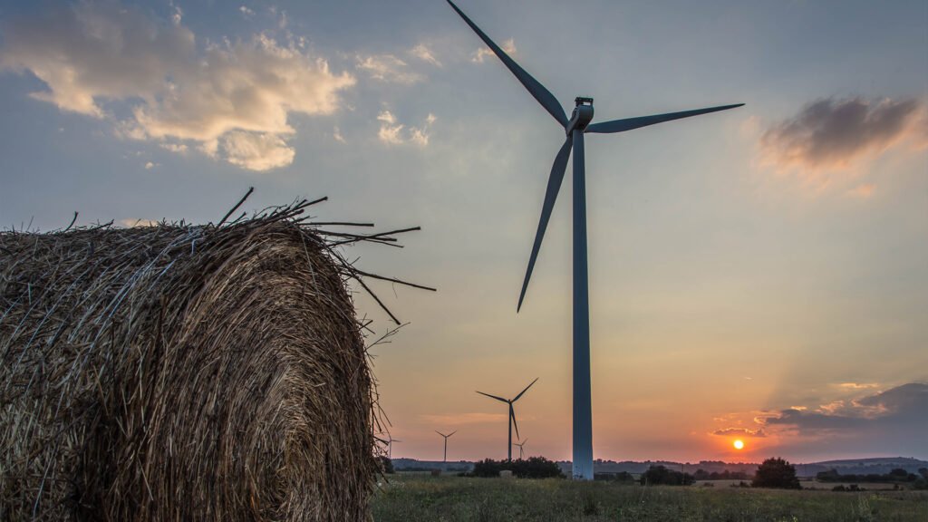Sustentabilidade: como cada um de nos pode colaborar para a preservação do planeta?